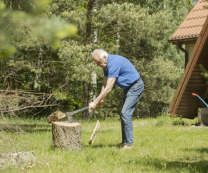 Stefan Niesiołowski