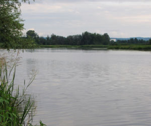 Niebawem ruszy odmulanie rzeszowskiego zalewu