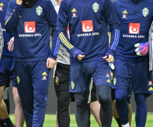 Zlatan Ibrahimovic