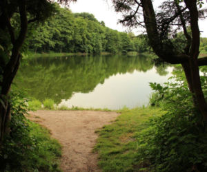 To najbardziej niedoceniona wieś w województwie śląskim. Jest tam szlak cudownych źródeł