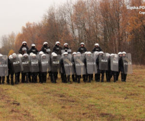 Konie służbowe śląskiej policji przeszły szkolenie. Musiały wytrzymać odgłosy wystrzałów czy ujadanie psów