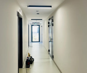 Katowice, osiedle mieszkań na wynajem przy Korczaka