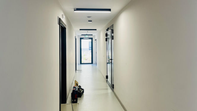 Katowice, osiedle mieszkań na wynajem przy Korczaka