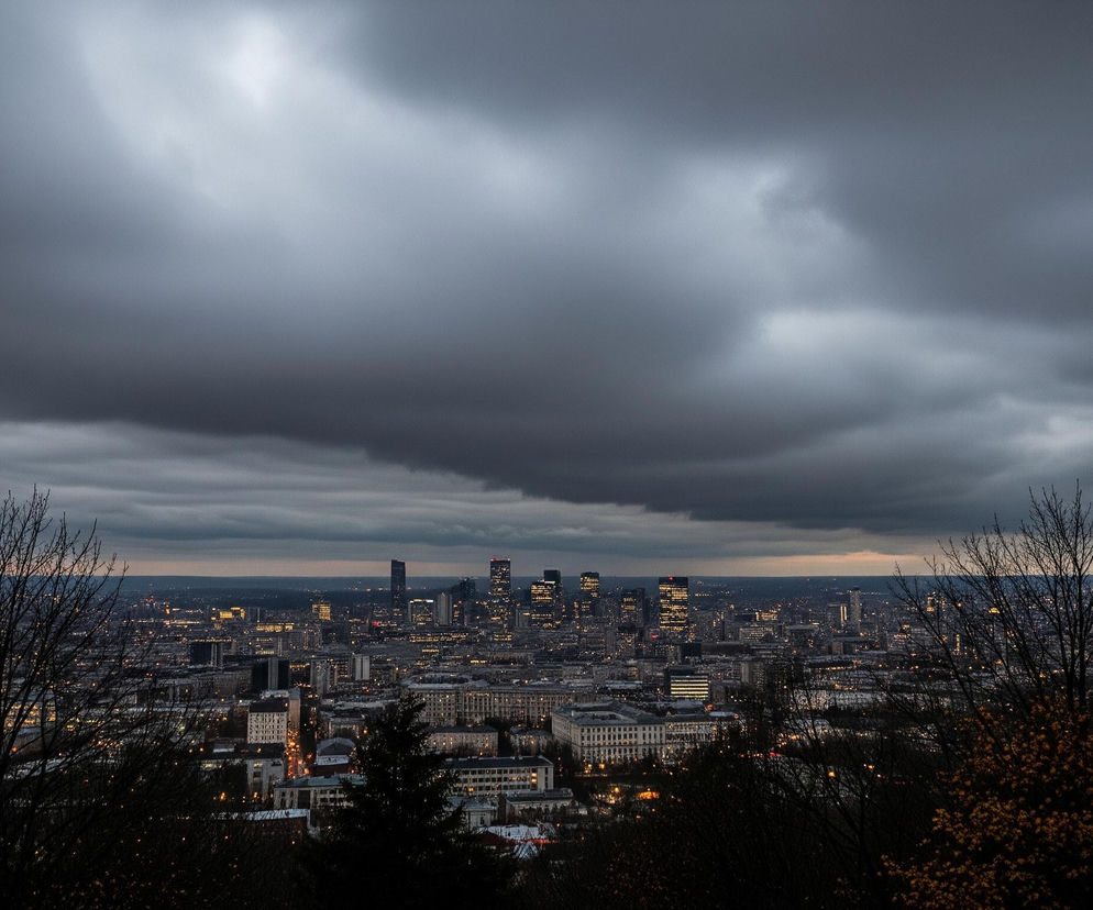 Gęste, ciemnoszare chmury dominują w górnej części kadru, tworząc ponury, wieczorny krajobraz. Poniżej rozciąga się miejska panorama, gdzie liczne budynki, w tym kilka wysokich wieżowców, świecą ciepłym, żółtym światłem. Na pierwszym planie, w dolnej części obrazu, widoczne są sylwetki drzew bez liści po lewej stronie oraz krzewów z drobnymi, żółtymi kwiatami po prawej stronie, dodatkowo podkreślając kontrast między naturą a miejskim pejzażem.