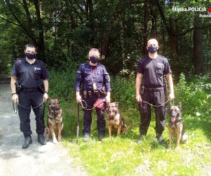 Knurów: Sławomir Kosek zaginął, szuka go rodzina. Policja w ogniu krytyki!