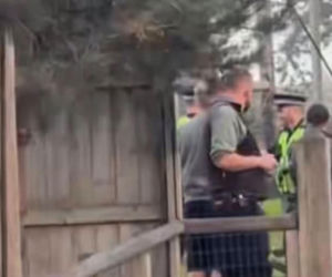 Tygrys zabił turystę w zoo! Takie były ostatnie słowa ofiary