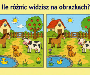 Co jest nie tak na tych zdjęciach? Większość osób nie zauważa błędu