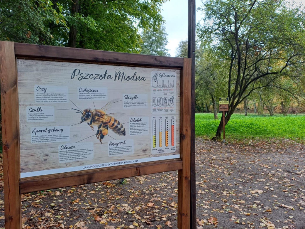Pasieka Edukacyjna Ostrzeszów