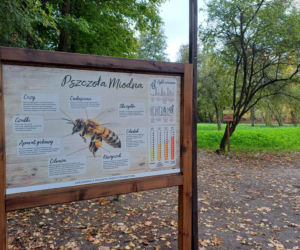 Pasieka Edukacyjna Ostrzeszów