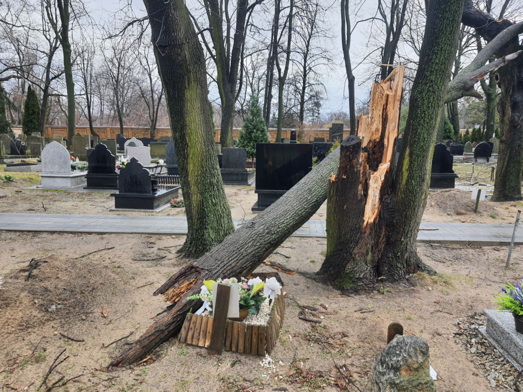 Wichura zdemolowała stołeczne nekropolie. Kompletna ruina na cmentarzach 