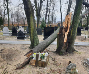 Wichura zdemolowała stołeczne nekropolie. Kompletna ruina na cmentarzach 