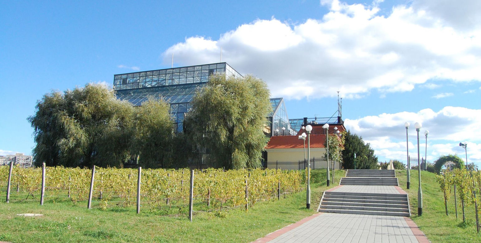 Winne Wzgórze