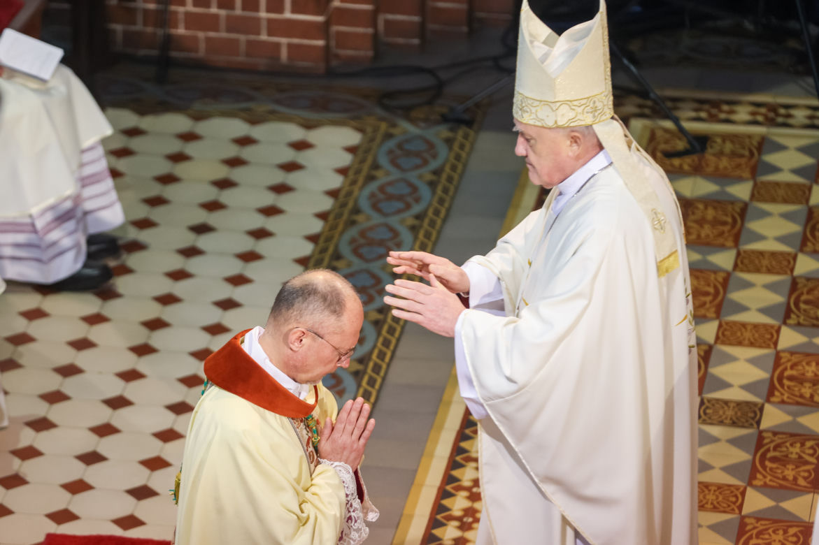 abp. Nycz