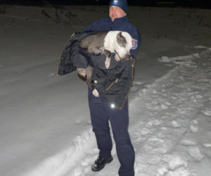  Pies nie zamarzł dzięki tomaszowskim policjantom. Zwierzę trafiło do właścicielki