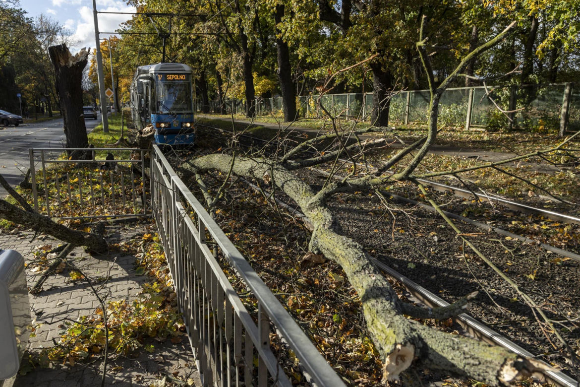 Wichura Wrocław drzewo tramwaj   