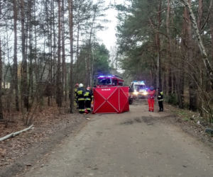 33-latek rozbił się na drzewie 