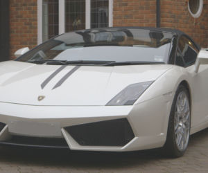 Posh Pawn  (3)