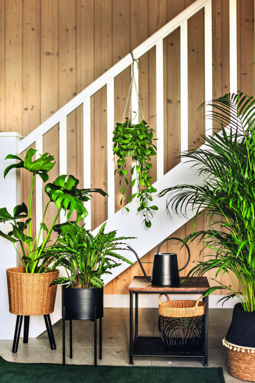 Wnętrza w stylu biophilic – przy schodach