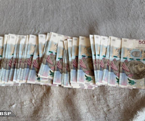 Swietłana kierowała siatką czerpiącą miliony z prostytucji. CBŚP zabezpieczyło blisko 3 mln zł