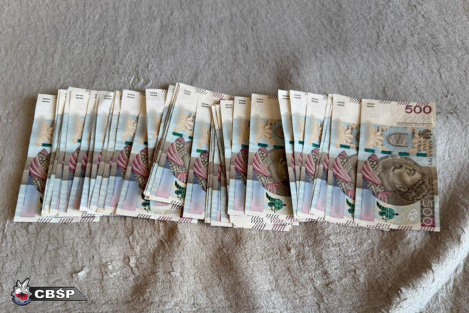 Swietłana kierowała siatką czerpiącą miliony z prostytucji. CBŚP zabezpieczyło blisko 3 mln zł