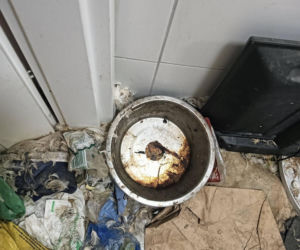 Interwencja inspektorów TOZ z Katowic w Sosnowcu