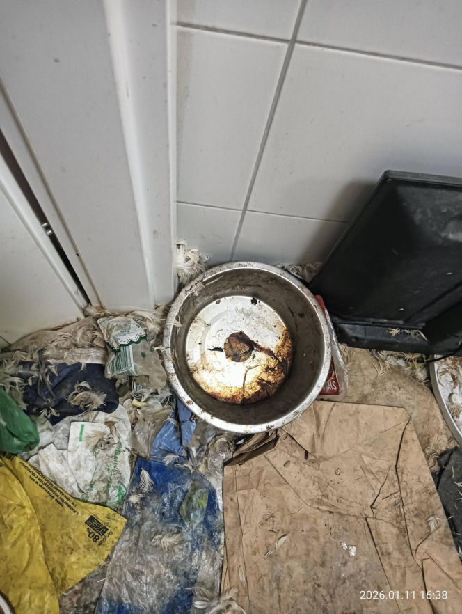 Interwencja inspektorów TOZ z Katowic w Sosnowcu