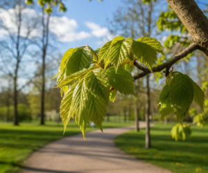 Pogoda na weekend w Toruniu 10-12 kwietnia. Weekend przyniesie ocieplenie i sporo słońca