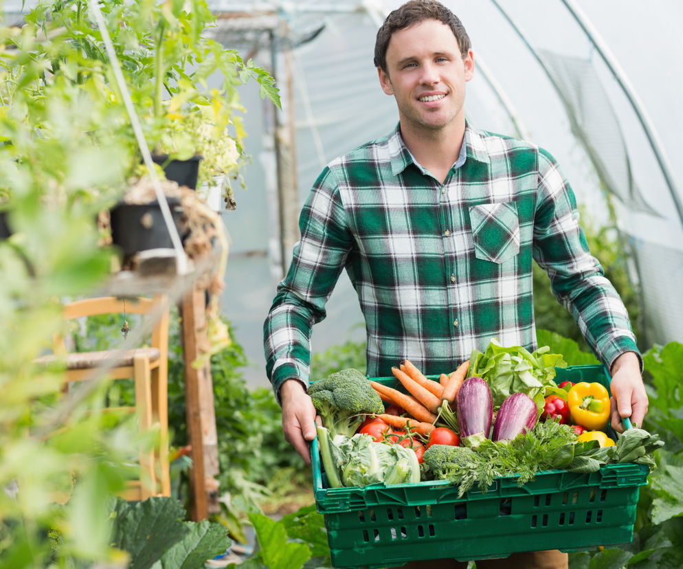 Uśmiechnięty mężczyzna w zielonej kracie koszuli trzyma skrzynkę świeżych warzyw: brokułów, marchwi, pomidorów, sałaty, bakłażanów i papryki, stojąc w tunelu foliowym. To obraz symbolizujący rozwój małych gospodarstw, o czym przeczytasz na Super Biznes.
