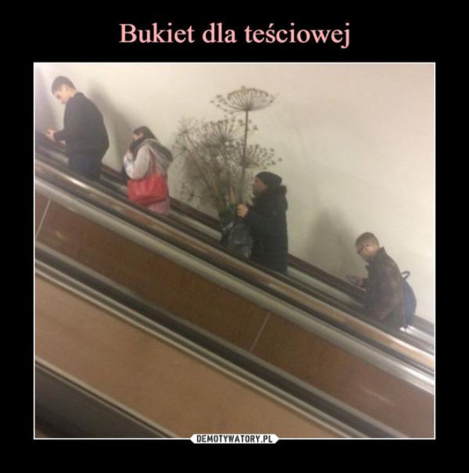 Tych memów o teściowych nie pokażesz mamie! Internauci nie mają litości