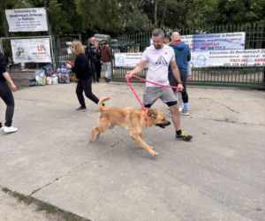 Za nami Bieg na 6 łap