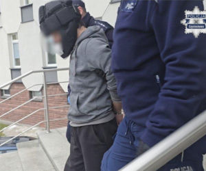 Wnuczek pobił babcię