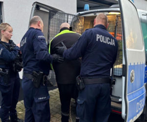 Policja zatrzymała podpalaczy aut. Sprawcy trafili do aresztu