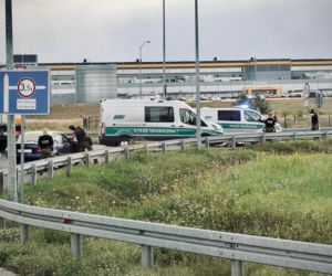Nielegalni migranci zatrzymani pod Kołbaskowem