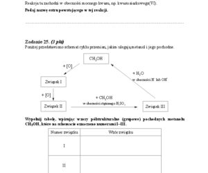 Arkusz podstawowy chemia matura 2014