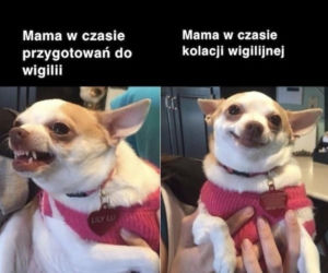 Śmieszne obrazki, które rozbawią każdego