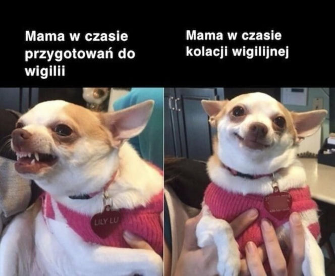 Śmieszne obrazki, które rozbawią każdego