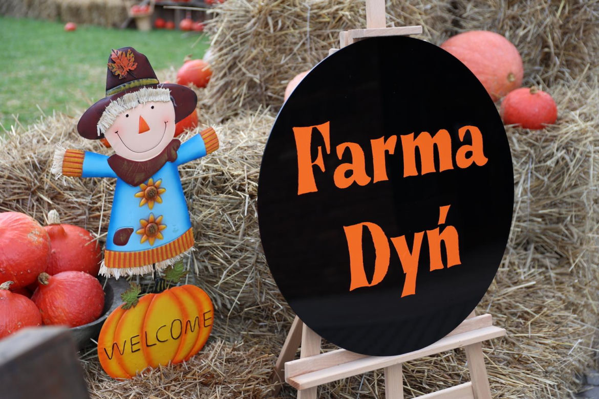 Farma dyń 2023 w Lublinie. Tak było w weekend otwarcia!