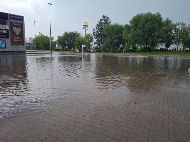 Zalane Starachowice