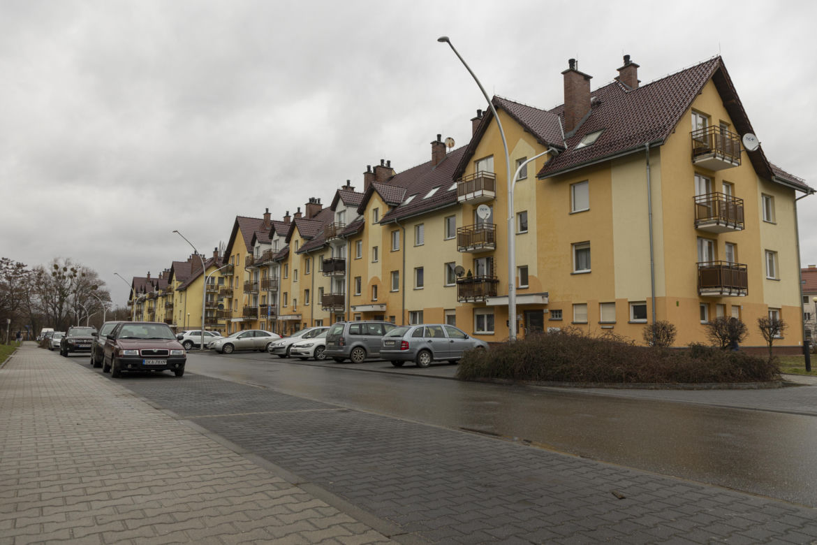 Zagryziona sarna, biegające luzem groźne psy. Psychoza na Brochowie we Wrocławiu 