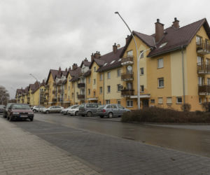 Zagryziona sarna, biegające luzem groźne psy. Psychoza na Brochowie we Wrocławiu 