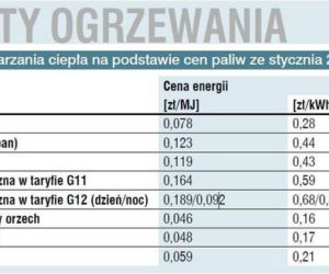 Ceny paliw i energii elektrycznej w 201