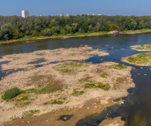 Niski stan wody w Wiśle w Warszawie, 5.08.2026