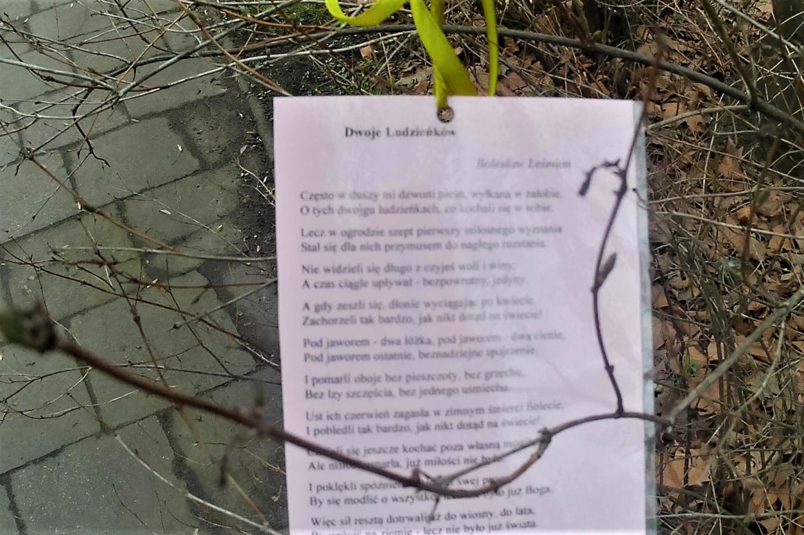 Światowy Dzień Poezji w Szczecinie