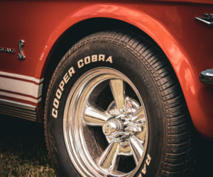 Tak było na Zalewiadzie 2025