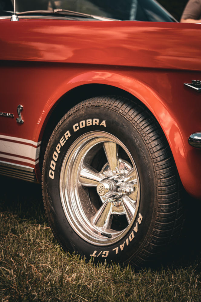 Tak było na Zalewiadzie 2025