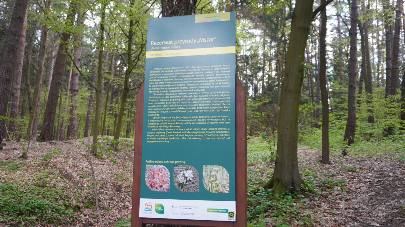 Leży w pobliżu centrum Olsztyna i wygląda bajecznie wiosną. Zobacz piękny rezerwat Mszar [ZDJĘCIA]