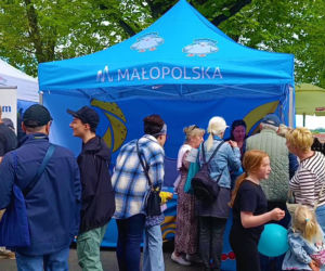 Piknik nad Odrą