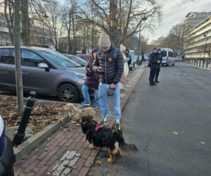 Protest przed Sejmem (17.12.2025)