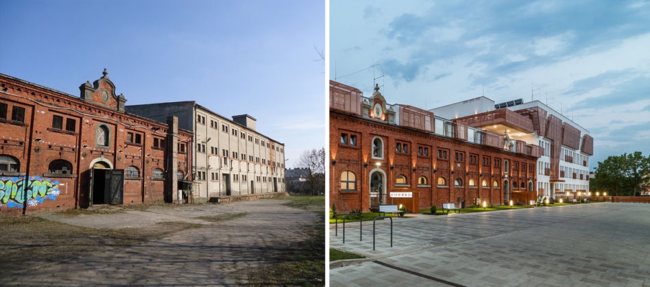 Zakład pielęgnacyjno-opiekuńczy Niezapominajka
