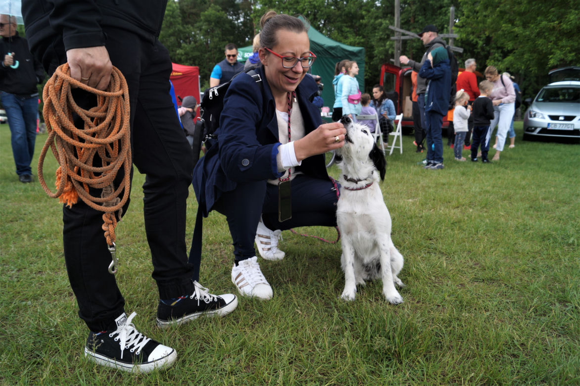Piknik Dobrych Psów i Ludzi w Myślęcinku [ZDJĘCIA]